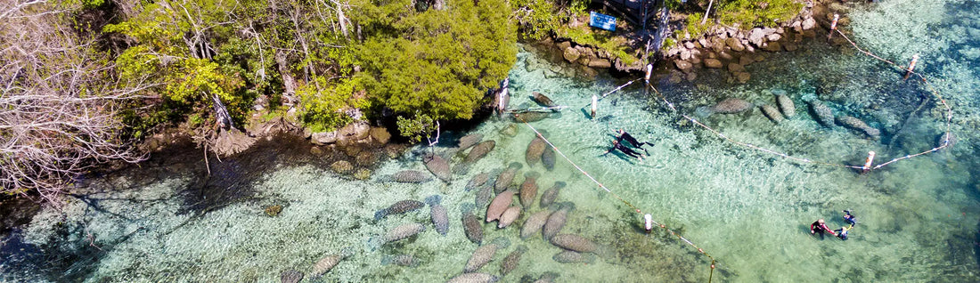 New Study: The 20 Most Loved Florida State Parks for Camping - According to Google, Instagram & Tripadvisor
